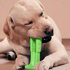 MYDOG 狗貓玩具自牙刷 L, 綠色, 1個