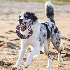 TallTails 狗用環狀潔牙玩具 15.24 cm, 粉色的, 1個