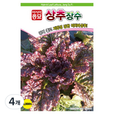 아시아종묘 장수 상추 씨앗 3000립, 4개