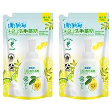 清淨海 環保洗手慕斯補充包, 450g, 2包