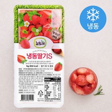 뉴뜨레 가당 딸기 슬라이스 (냉동), 1kg, 1개
