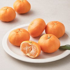 곰곰 고당도 레드향 6~8입, 1.2kg(6~8입), 1봉