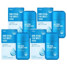 퍼니트 칼륨 포타슘 수분 밸런스 1500, 120정, 4개