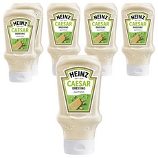 하인즈 시저 샐러드 드레싱, 413.5g, 6개