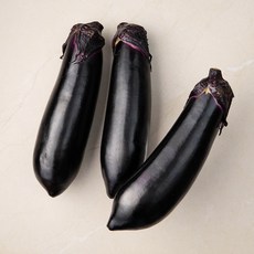곰곰 GAP 창녕 가지, 1개