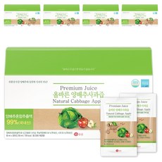 올즙 국내산 올바른 양배추 사과즙, 2.7L, 5박스