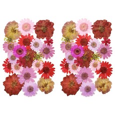 A-ONE 匯旺 真花壓花 中花包 春回大地 BB12 2入