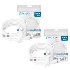 PANTECH Type-C to Type-C 超高速充電矽膠傳輸線 100W, 2個, 白色, 2m