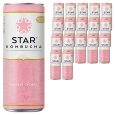 스타콤부차 러블리 리치, 250ml, 1개입, 18개