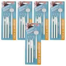 메디메이트 덴탈픽스 4종 수동식 의료용 치석제거기, 5세트