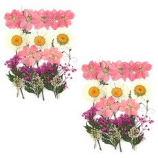 Fresco21 押花綜合包, 2套, K102