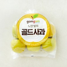 곰곰 시나노 골드사과, 1.2kg(소과, 5~7입), 1개