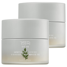 미샤 개똥쑥 진정 크림, 50ml, 2개