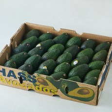 칠레산 아보카도 25~30개입, 1개, 5.1kg