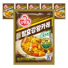 OTTOGI 不倒翁 百歲發酵薑黃咖哩粉 原味, 80g, 6包