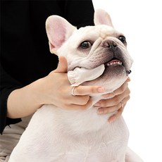 Laughing Charlie 寵物有機紗布指套牙刷 6入, 1個