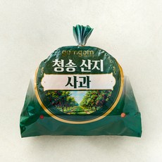 곰곰 GAP 청송사과, 1kg(소과, 4~6입), 1봉