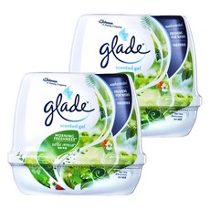 Glade 滿庭香 除臭清香凝膠，連續30天長保芳香，含香氛精油，清新早晨, 180g, 2罐