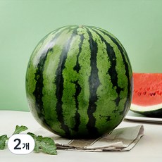 당도선별 11brix 수박, 9kg이상, 2개