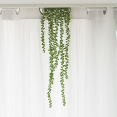 Gomjihome 居家裝飾 仿真花 常春藤藤蔓 多肉植物, 單一顏色, 2個