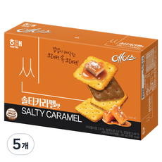 해태에이스 씬 솔티카라멜, 291g, 5개