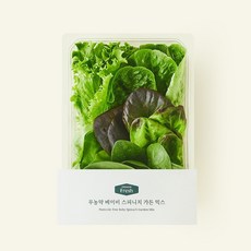 [로켓프레시]프리미엄 무농약 베이비 스피니치 가든 믹스, 120g, 1개입, 1개
