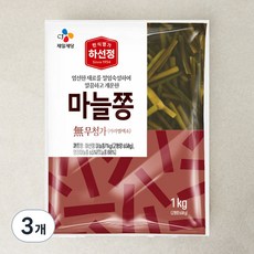 CJ 하선정 마늘쫑, 1kg, 3개