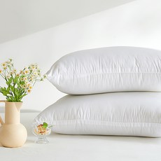 ARPEGGIO BASIC 晨間枕芯, 白色, 1個