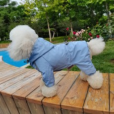 Arti Pet 寵物狗跨境反光雨衣, 藍色, 1個