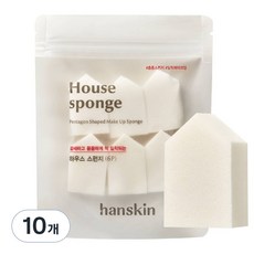 Hanskin 房屋海綿 6入, 單一顏色, 10個