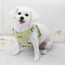 ONMOA 狗狗胸背帶 + 牽繩套組, 綠色, 1套