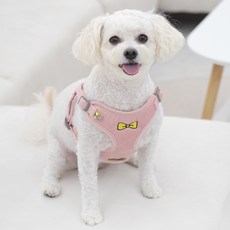 온모아 강아지 하네스 + 리드줄 세트, 핑크, 1세트