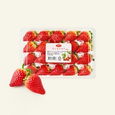 수플린 한단 홍희 딸기, 1개, 500g