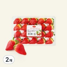 수플린 한단 홍희 딸기, 2개, 500g