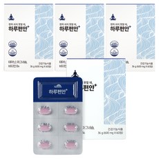 日間舒適茶胺酸鎂質維他命B6補充錠, 60顆, 4盒