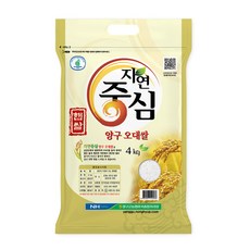 농협 자연중심 오대쌀 백미, 4kg, 1개, 상등급