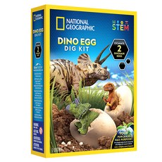 Blue Marble 國家地理 化石挖掘 恐龍蛋 大 灰色 RTNGDEGGDIG, 1個