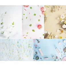 MADA 雙面背景紙攝影道具 花卉 5張, 單品, 1套