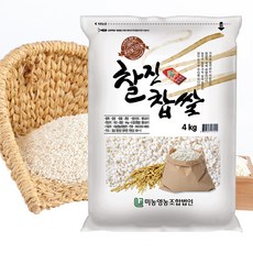 미농 국산 찹쌀, 4kg, 1개