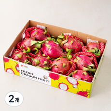 용과 9~12입, 5kg, 2개