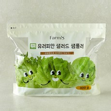 팜에이트 무농약 인증 유러피안 샐러드 샘플러, 300g, 1개