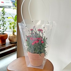 리드홈 튼튼한 꽃 화분 쇼핑백 10p, 투명, 10개