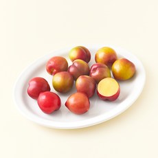 새벽경매 자두 중과, 1kg, 1팩