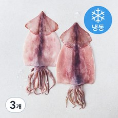 국산 손질 오징어 (냉동), 600g, 3개