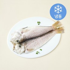 제주어가 손질 백옥돔 옥두어 (냉동), 370g(특), 1개