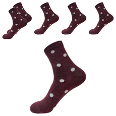 D&G 羊毛點點襪 22-25cm 6雙組, 22~25cm, 暗紅