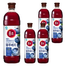 홍초 블루베리, 1.5L, 5개