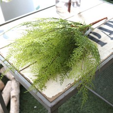 Dow F&G 和諧蘆筍, 綠色, 2入