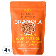 라이프스타일 고메 피넛버터 그래놀라, 250g, 4개