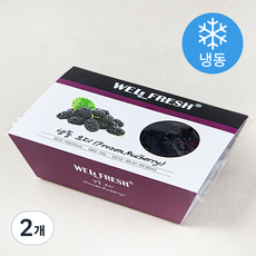 웰프레쉬 오디 (냉동), 450g, 2개